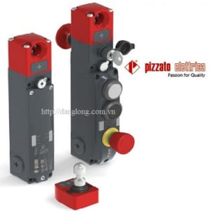cong tac vi tri Pizzato