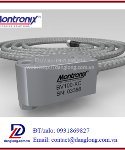 Cảm biến rung Montronix